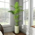 thumbnail image 2 of Pemberly Row Contemporary Green Trunk Areca Palm in Rainey Vase, 2 of 2