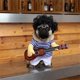 thumbnail image 4 of Pet Guitar Costume Dog Costumes Cat Halloween Christmas Cosplay Party Funny Outfit Clothes (L), 4 of 5
