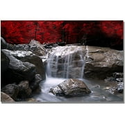 Trademark Art "Red Vison" Canvas Wall Art by Philippe Sainte-Laudy