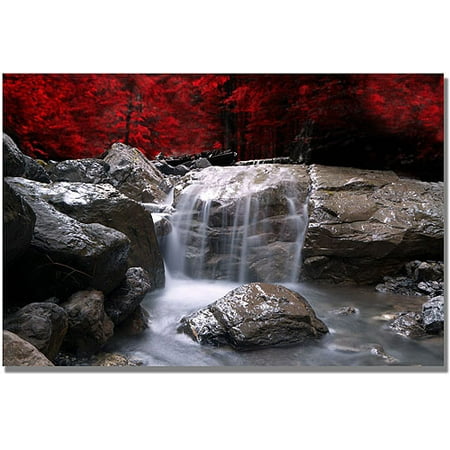 Red Canvas Wall Art trademark art "red vison" canvas wall artphilippe sainte-laudy Red Canvas Wall Art trademark art "red vison" canvas wall artphilippe sainte-laudy