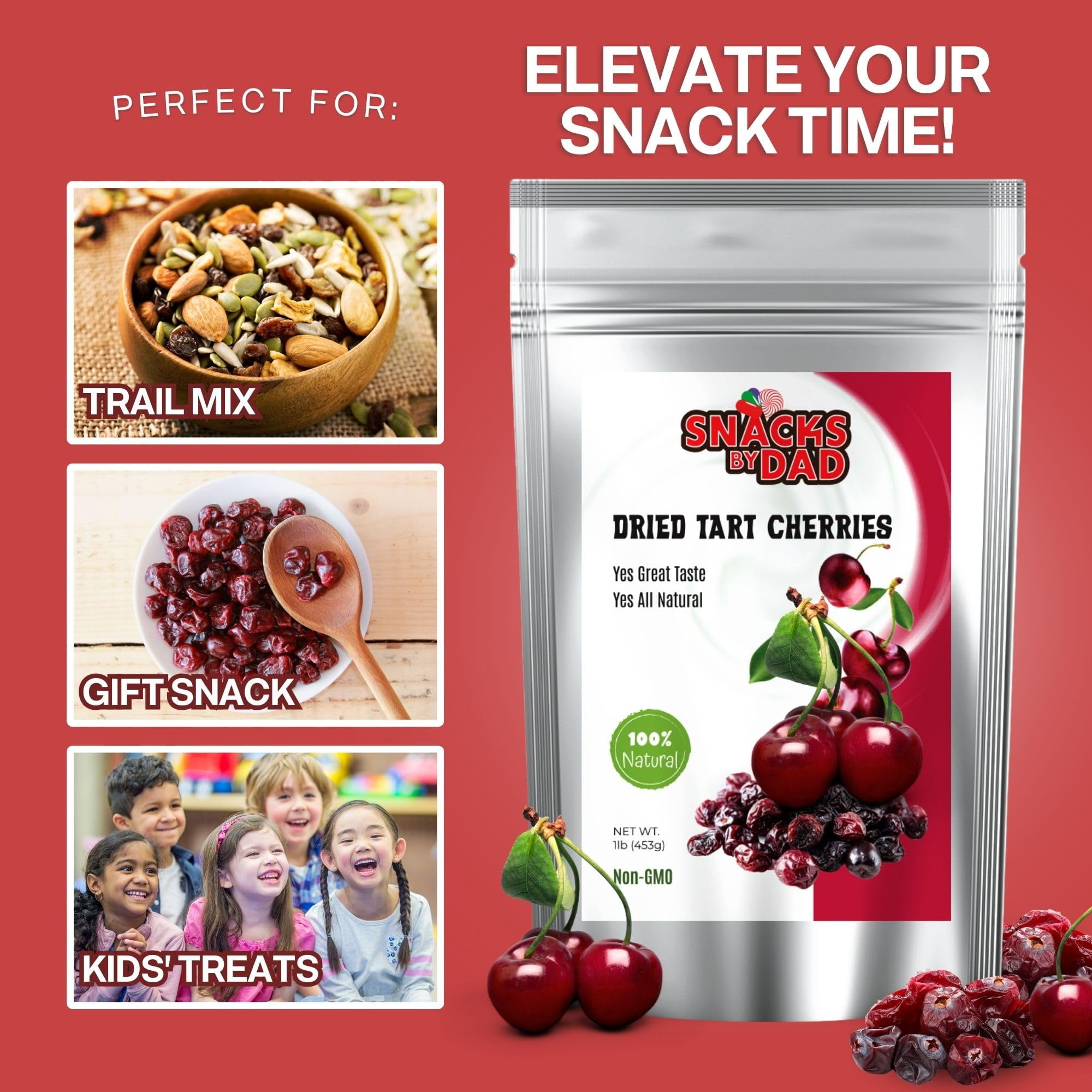 Dried Tart Cherries - Vegan Dried Cherries with No Preservatives | Healthy and Wholesome Snack | Tart Cherry for Snacking | Premium Dried Fruit For Snacking / 1lb (454g) Resealable bag
