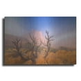 thumbnail image 1 of Luxe Metal Art 'Mystic Wonders' by Darren White, Metal Wall Art, 36"x24", 1 of 1