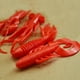 thumbnail image 3 of Yuarrent 4 Uds. De cebos biónicos de pescado suave, señuelos de pescado de camarón con gusano de silicona, señuelos en 4 colores Pescar Rojo Yuarrent DJ0330-03, 3 of 3
