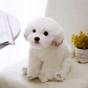 White Puppy Plush Toy -10  Pet Dog Stuffed Animal, Marzis Dog Plush Animal, Realistic Decor for Kid, Pillow Doll Gift