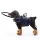 thumbnail image 1 of Chaleco Con Arnés para Perros Ciegos, Anillo Ajustable para mascotas para perros ciegos para evitar colisiones y generar confianza, dispositivo de guía de arnés para perros, 1 of 7