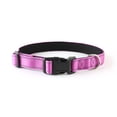 thumbnail image 1 of Collar reflectante de nailon para perros, collar clásico ajustable para cachorros, perros miniatura, pequeños, medianos y grandes. (morado), 1 of 5