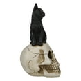 thumbnail image 4 of Witching Hour Black Feline Mystical Cat Sitting On Skull Wicca Macabre Figurine, 4 of 7