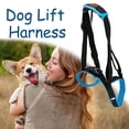 thumbnail image 3 of Adjustable Dog Lift Harness For Back Legs Pet Support Help Stand Up Sling, 3 of 6