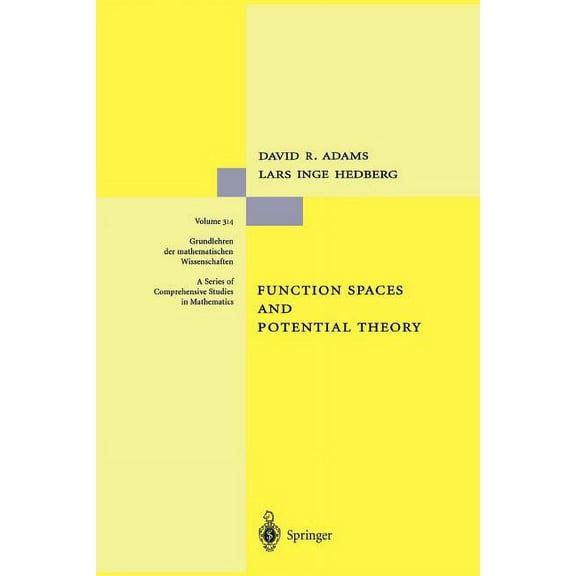 Grundlehren Der Mathematischen Wissensch Function Spaces and Potential Theory, Book 314, (Paperback)