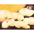thumbnail image 2 of Roseboom, Jettie 14x12 Gold Ornate Wood Framed with Double Matting Museum Art Print Titled - Yellow Poppies II, 2 of 4