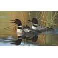 thumbnail image 1 of Tile Mural Kitchen Backsplash - Loon Family-CF - by Cynthie Fisher, 1 of 1