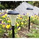 thumbnail image 5 of Toystoory Luz de jardín Pasarela solar Lámpara de camino recargable para exteriores Entrada de césped Luces de iluminación de estaca de seguridad Jardín y Patio Luz blanca Toystoory HA062975-01, 5 of 6