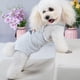 thumbnail image 4 of EeaseMX Pañal para mascotas, pantalones sanitarios para perros con tirantes, pañal sanitario transpirable para cachorros, 4 of 8