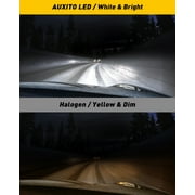 AUXITO H4 9003 HB2 LED Headlight Bulbs, 12000LM Per Set 6500K Xenon White for High and Low Beam Hi/Lo, Pack of 2