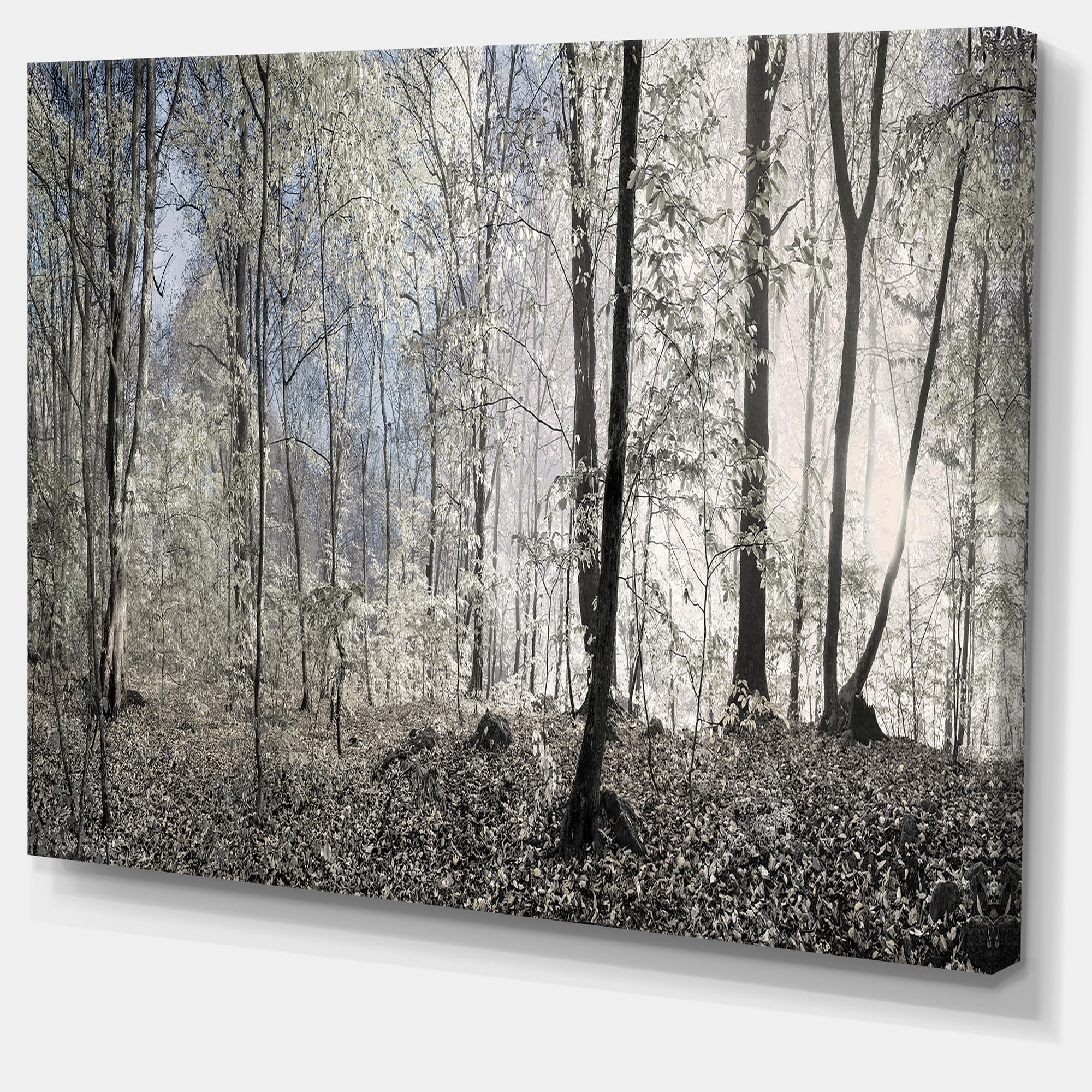 Designart 'Dark Morning in Forest Panorama ' Landscape Canvas Art Print