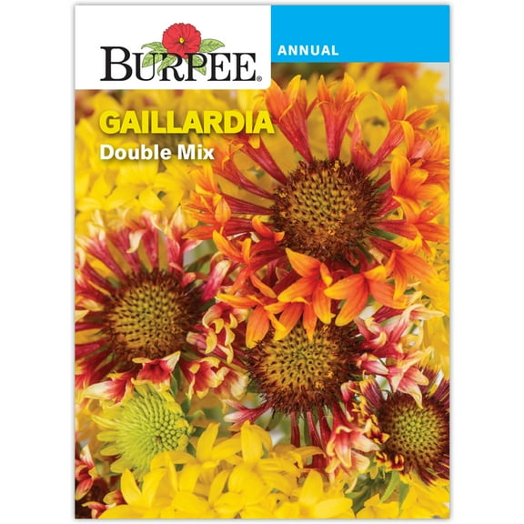 Burpee Double Mix Gaillardia Annual Flower Seed, 1-Pack, Full Sun