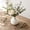White-WH, variant on MMJ Ceramic Vase Spherical Matte Texture Ribbed Neutral Tone for Home Tabletop Shelf Decor Flower 5.12x3.94in