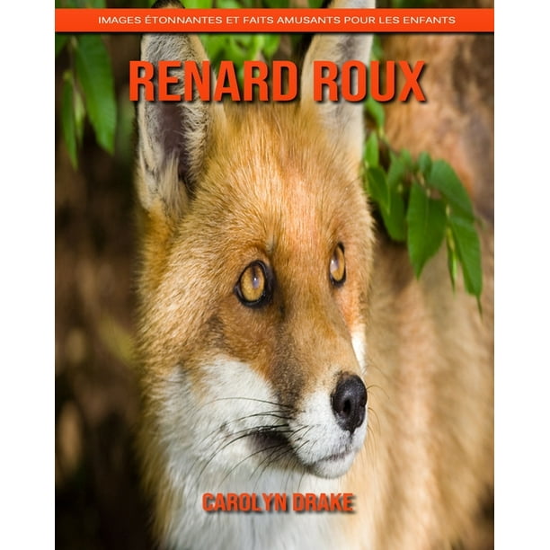 Renard Roux Images Etonnantes Et Faits Amusants Pour Les Enfants Paperback Walmart Com Walmart Com Renard Roux Images Etonnantes Et Faits Amusants Pour Les Enfants Paperback Walmart Com Walmart Com