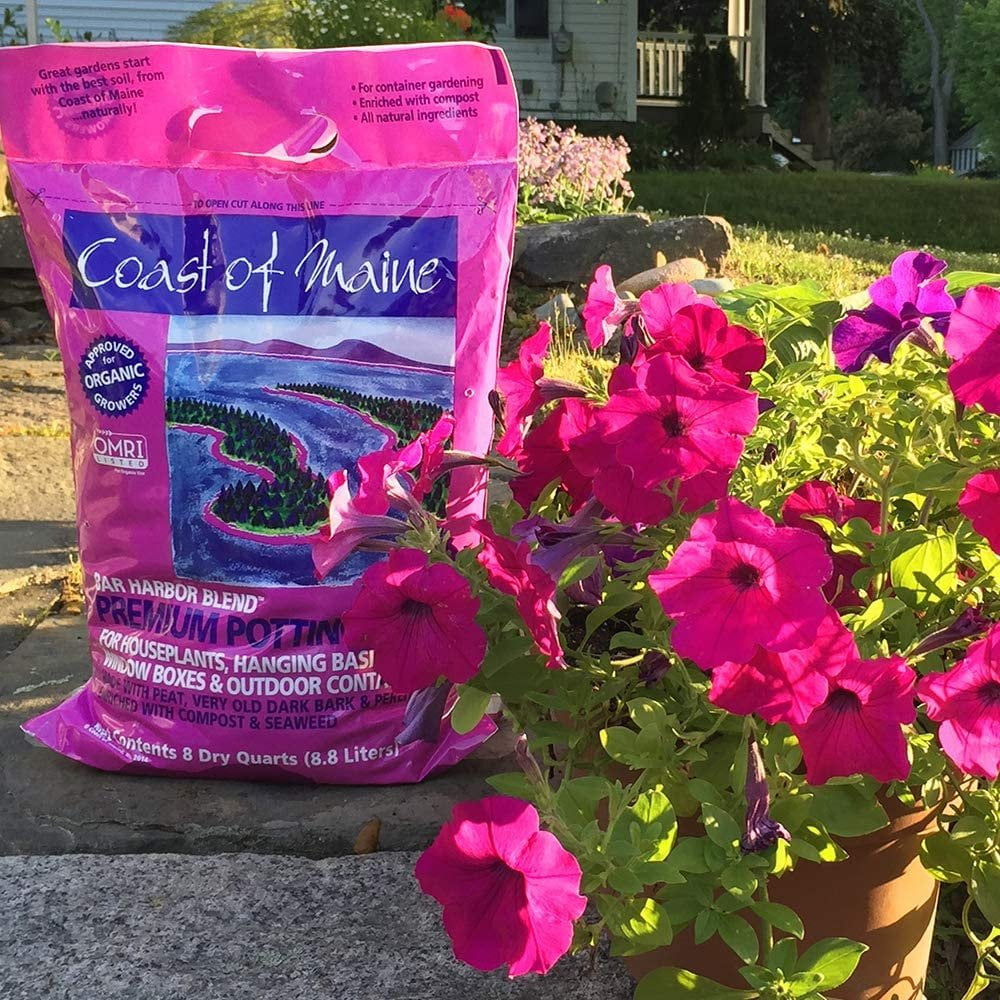 Coast of Maine Bar Harbor Blend Organic Potting Soil for Container Gardens and Flower Pots, 8qt
