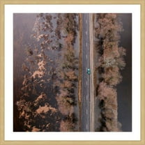 Marmont Hill "Lone Car" by Karolis Janulis Framed Painting Print