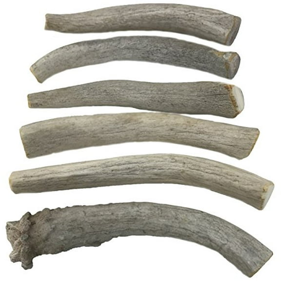 WhiteTail Naturals 6 Pack- Small 4-5 Inch Sun Aged Natural Deer Antler Dog Chews - #3 Grade