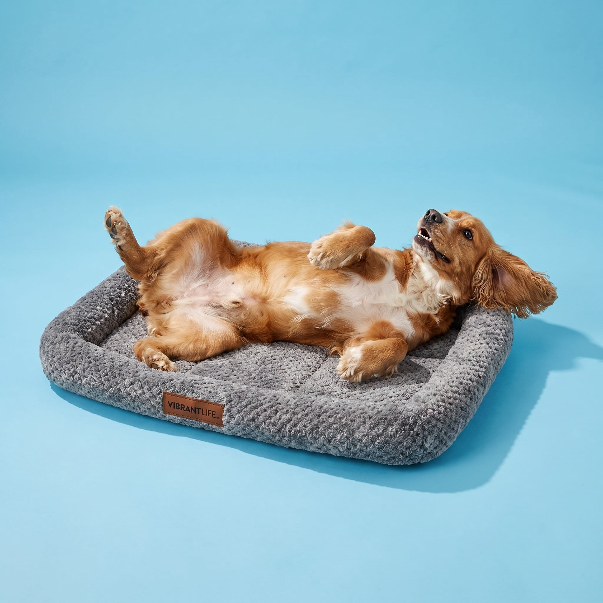 (2 pack) Vibrant Life Medium Soft Cozy Crate Mat, Gray, 30" x 20"