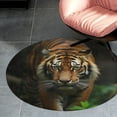 thumbnail image 2 of Tiger in Jungle(1) Round Area Rugs for Bedroom Living Room, 4FT Soft Comfy Indoor Circle Carpets, Carpet Home Decor Floor Mat, 2 of 6