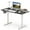 Black+White, variant on Costway 48" x 24" Electric Standing Desk with LED Display 2 Memory Height Settings for Home Black