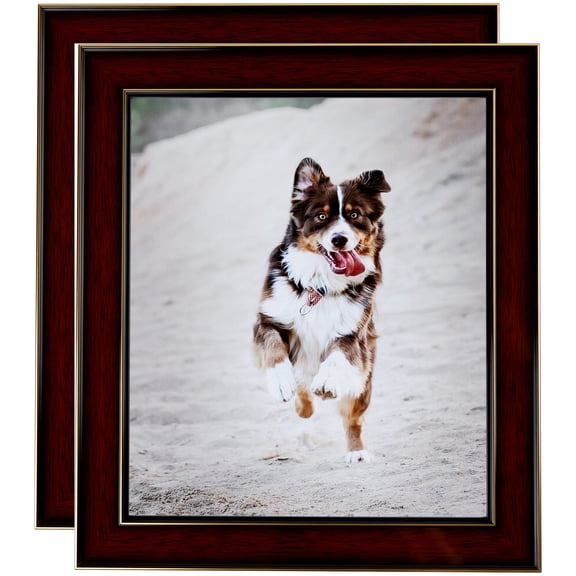 ArtToFrames 10" x 13" Honors Mahogany with Gold Picture Frame, 10x13 inch Brown Wood Poster Frame (WOM-5156), 2 Pack