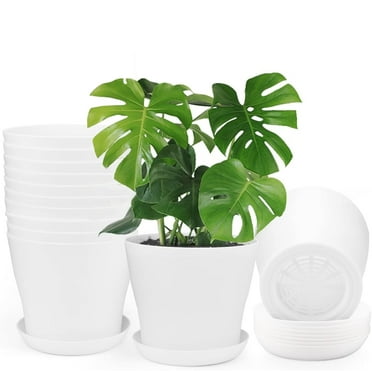 NOGIS 4 Inch 8 Pack Plastic Planter Multiple Drainage Holes and Tray,Black Flower Pots Garden Flowers Succulents Pots for Plants (White，4in)
