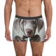 thumbnail image 1 of Balery Adorable Puppy Portrait Calzoncillos bóxer para hombre, ropa interior de algodón suave y transpirable con cinturilla de nailon-XX-Large, 1 of 5