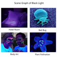 thumbnail image 3 of UV Flashlight, Black Light Flashlight IPX45 Waterproof Portable 365nm  for Cat Moss Detection, 3 of 7