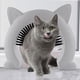 thumbnail image 4 of Puerta para gatos para puertas interiores con cepillo de aseo - Pase para gatos grandes para mascotas - Puerta para mascotas fácil de instalar con cepillo, 4 of 5