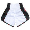 thumbnail image 3 of Fluory Muay Thai Boxing Shorts Colorful Line Rose Embroidery Women's Fitness Gym Sportswear Active Wear Casual Pants, 3 of 7
