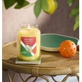 thumbnail image 2 of Yankee Candle Sun Club - Sun & Games Collection Large Classic Jar Candle - Lemon & White Rose, 2 of 3