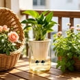 thumbnail image 5 of 8-Pack Self-Watering Cotton Rope for Potted Plants, Absorbent Water Wicking String for Household Plant Irrigation, 5 of 6