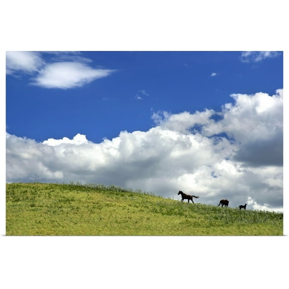 Great BIG Canvas | "Horses Galloping On Hill" Art Print - 48x32