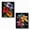 Flower Lily, variant on DIYDECORFUN 2-Pack Diamond Painting Kits for Adults,Gnome With Coffee Full Round DIY Diamond Art Craft for Beginners Home Decor 13.8x13.8 Inch
