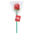 thumbnail image 2 of Mc Cormicks Jelly Roses, 2 of 5