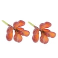thumbnail image 1 of Planta Suculenta De La Simulación De 2Pieces 10x5cm Para La Decoración Del Jardín Casero De DIY Zulema Plantas suculentas de la simulación, 1 of 7