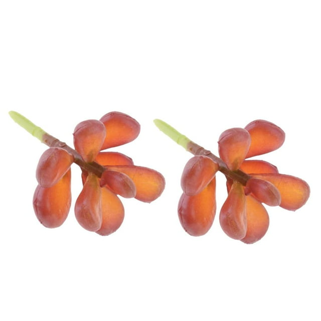 Planta Suculenta De La Simulación De 2Pieces 10x5cm Para La Decoración Del Jardín Casero De DIY Zulema Plantas suculentas de la simulación