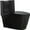 Matte Black, variant on 1.1/1.60 GPF Dual-Flush One Piece Toilet, Water-Saving Elongated Comfort Height Floor Mounted, Soft Close Seat,Matte Black