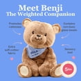thumbnail image 4 of Lilly’s Love 5lb Weighted Stuffed Animal for Anxiety Relief, Benji The Bear, Sensory Plush for Kids & Adults, 4 of 8