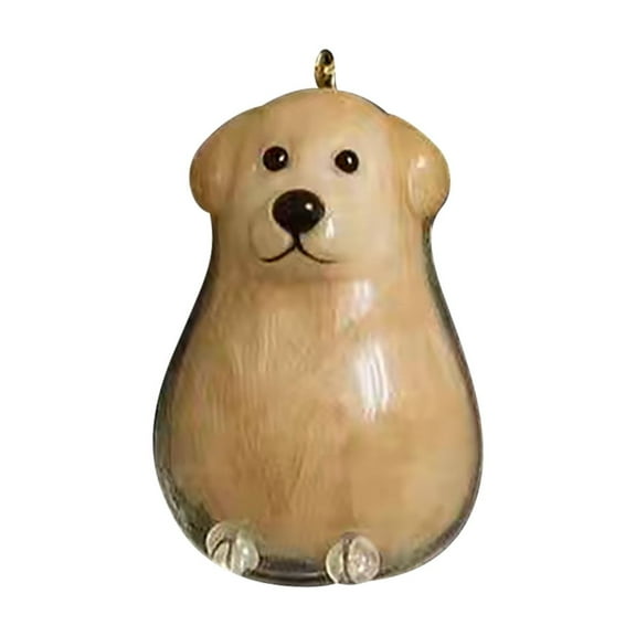 Yooshoverk Clear Pet Hair Memorial Box - Transparent Keepsake Urn for Ashes - Engravable Lid for Cats, Dogs - Memorial Jewelry Storage Capsule