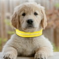 thumbnail image 4 of kusrkot Bright LED Cat Nylon Luminous Necklace Supplies Puppy LED M, 4 of 9