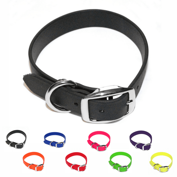 Regal Dog Products Waterproof Collar with Double Buckle and D Ring