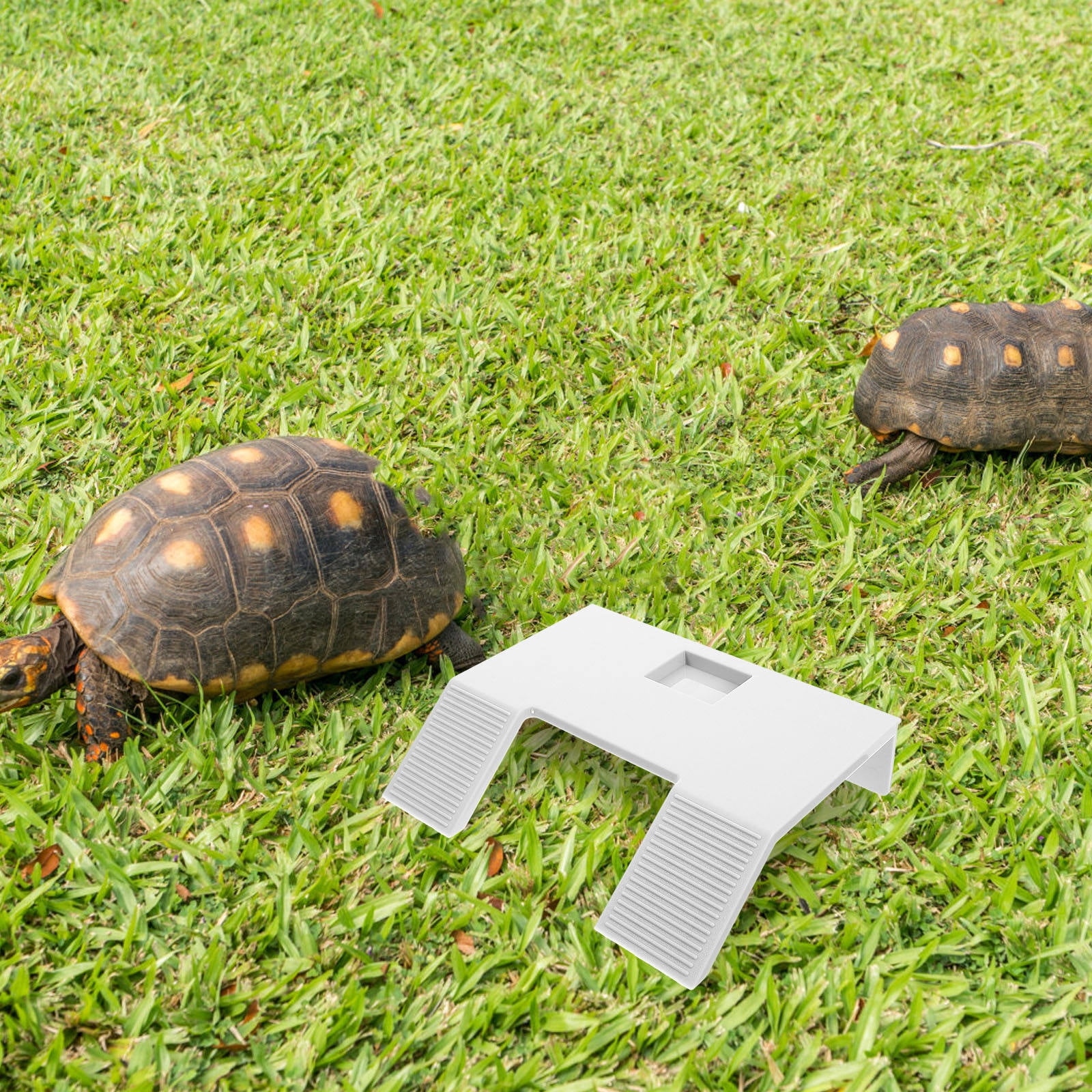 LOLIPPYY White Plastic Turtle Basking Platform, and Practical Accessory for Reptile Habitats