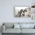 thumbnail image 3 of Trademark Fine Art 'Bjarni and Imir I BW' Canvas Art by Laura Marshall, 3 of 3
