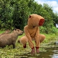 thumbnail image 3 of Disfraz de Capibara - Traje de la Primavera Niñas y Niños - Mameluco con Gorra - Disfraces Infantiles Capibaras Kawaii - Vestuario Halloween Capybara - Talla 6 Años, 3 of 6