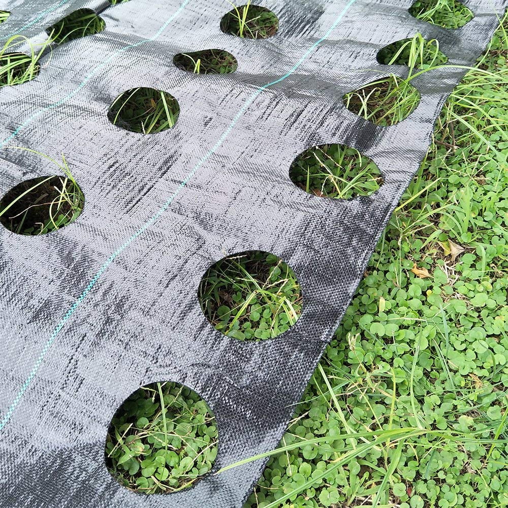 3.3 Ft X 11.8 Ft Heavy-Duty Weed Block Gardening Mat Soil Erosion Control and UV Stabilized WDDH 2Pcs Garden Weed Barrier Landscape Fabric with 3'' Planting Holes 